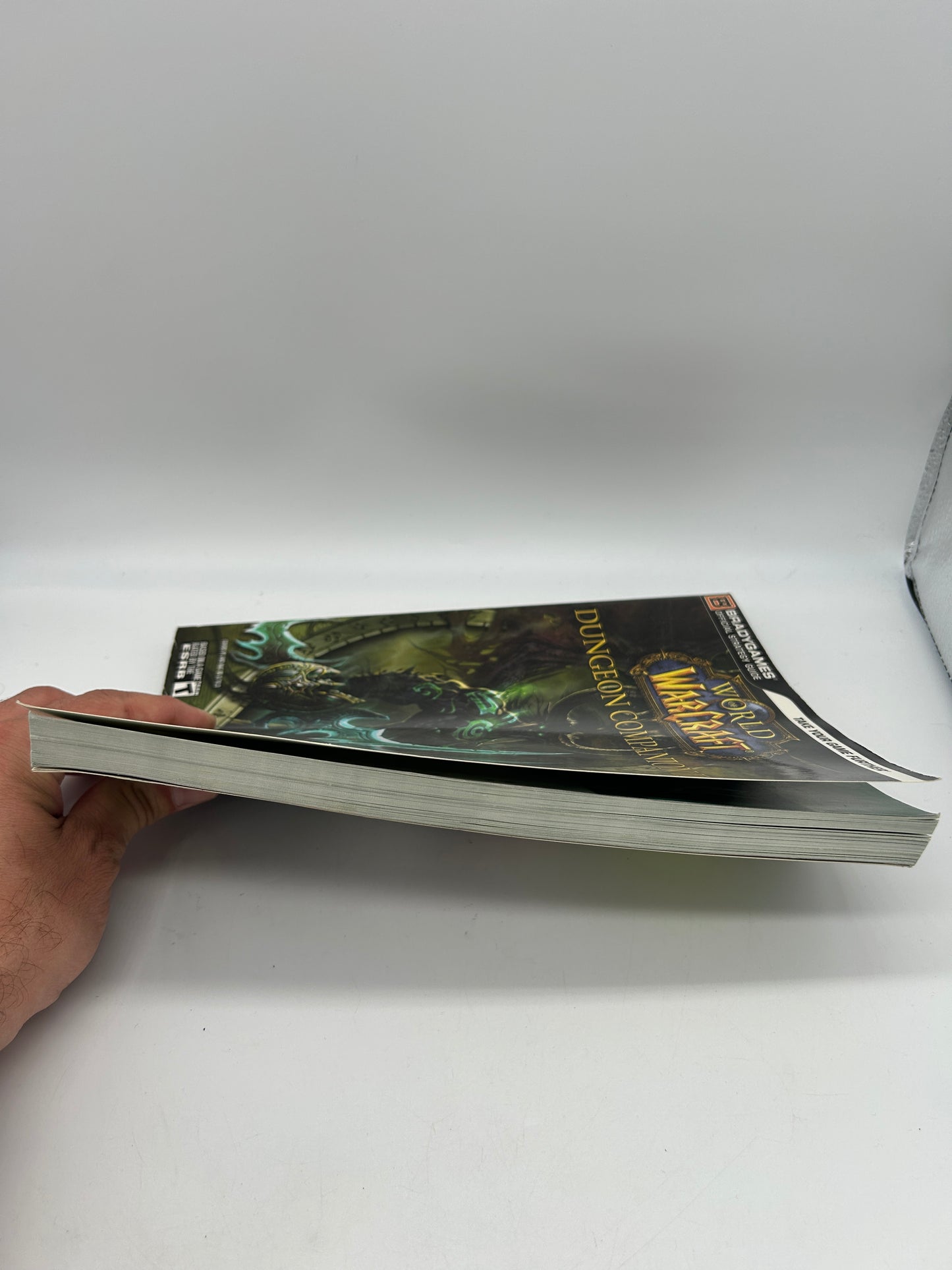 WORLD OF WARCRAFT DUNGEON COMPANION II STRATEGY GUIDE BRADYGAMES
