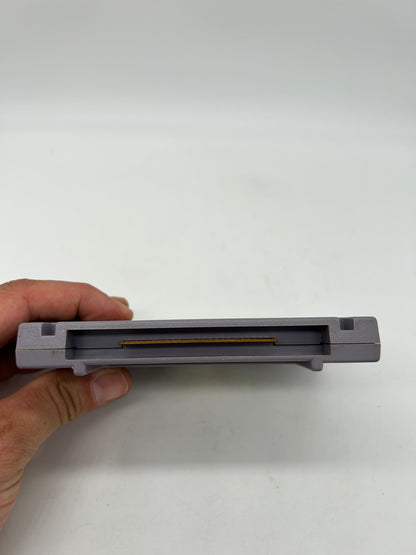 SUPER NiNTENDO [SNES] | TiMON & PUMBAAS JUNGLE GAMES