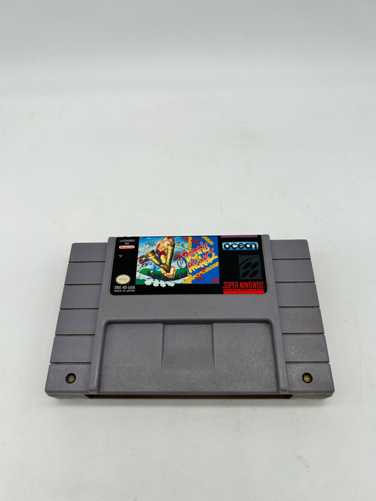 PiXEL-RETRO.COM : SUPER NINTENDO NES (SNES) GAME NTSC DENNIS THE MENACE