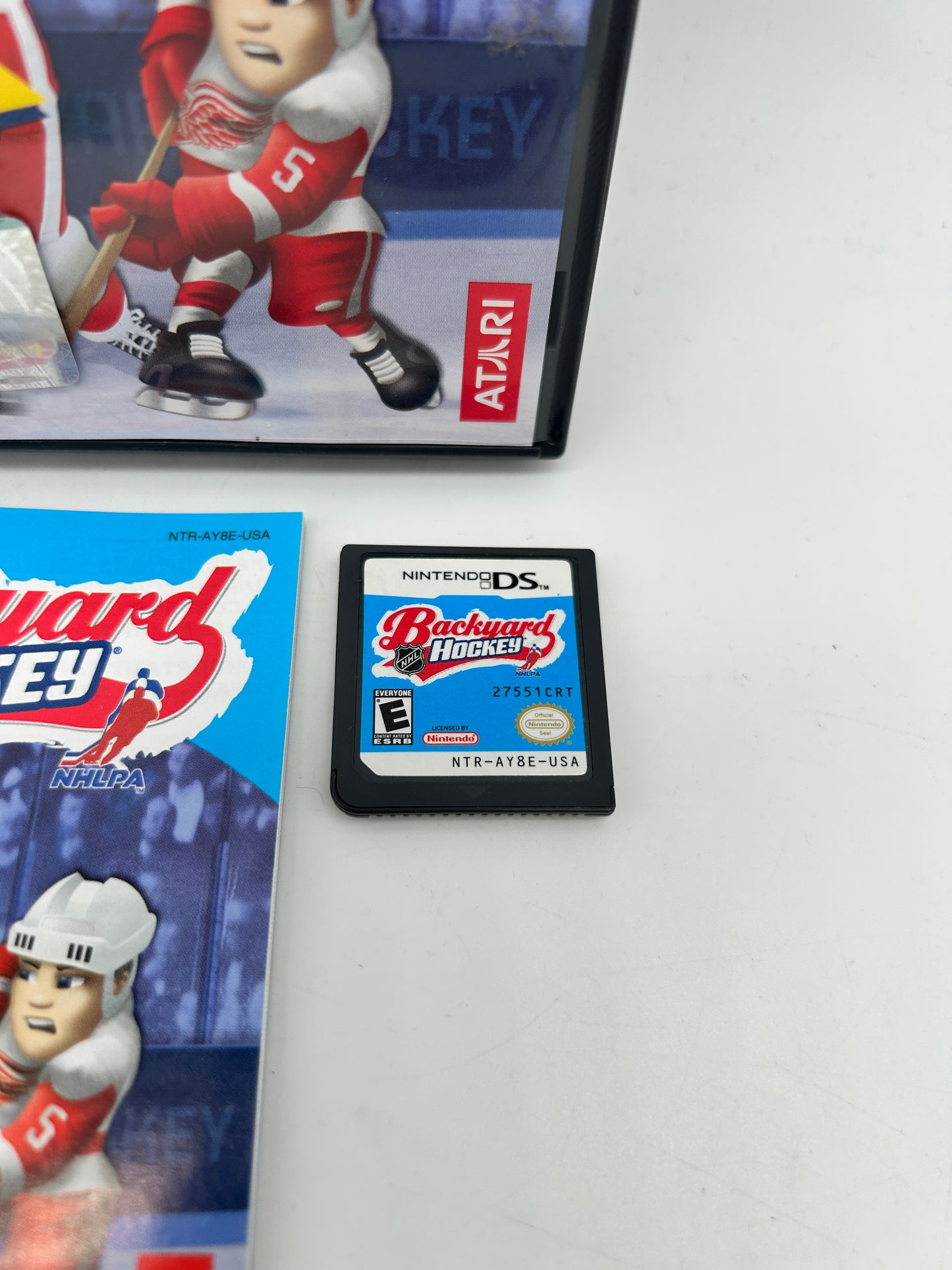 Nintendo DS | Backyard Hockey