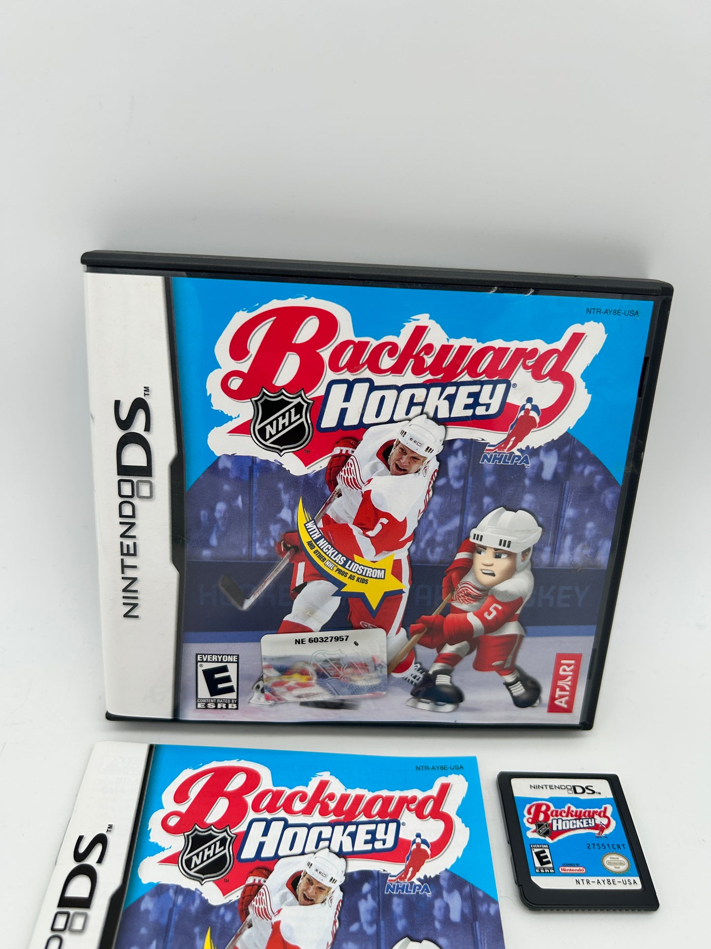 Nintendo DS | Backyard Hockey