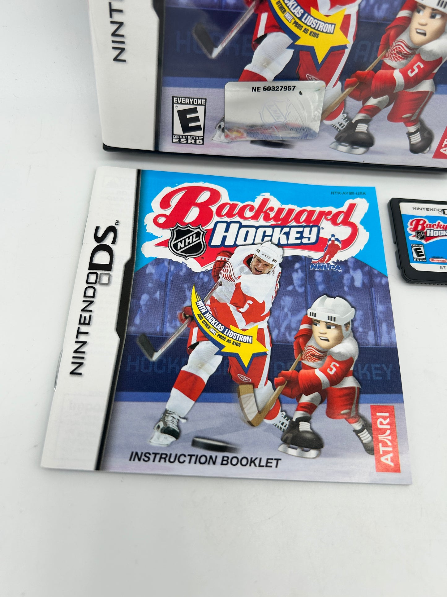 Nintendo DS | Backyard Hockey