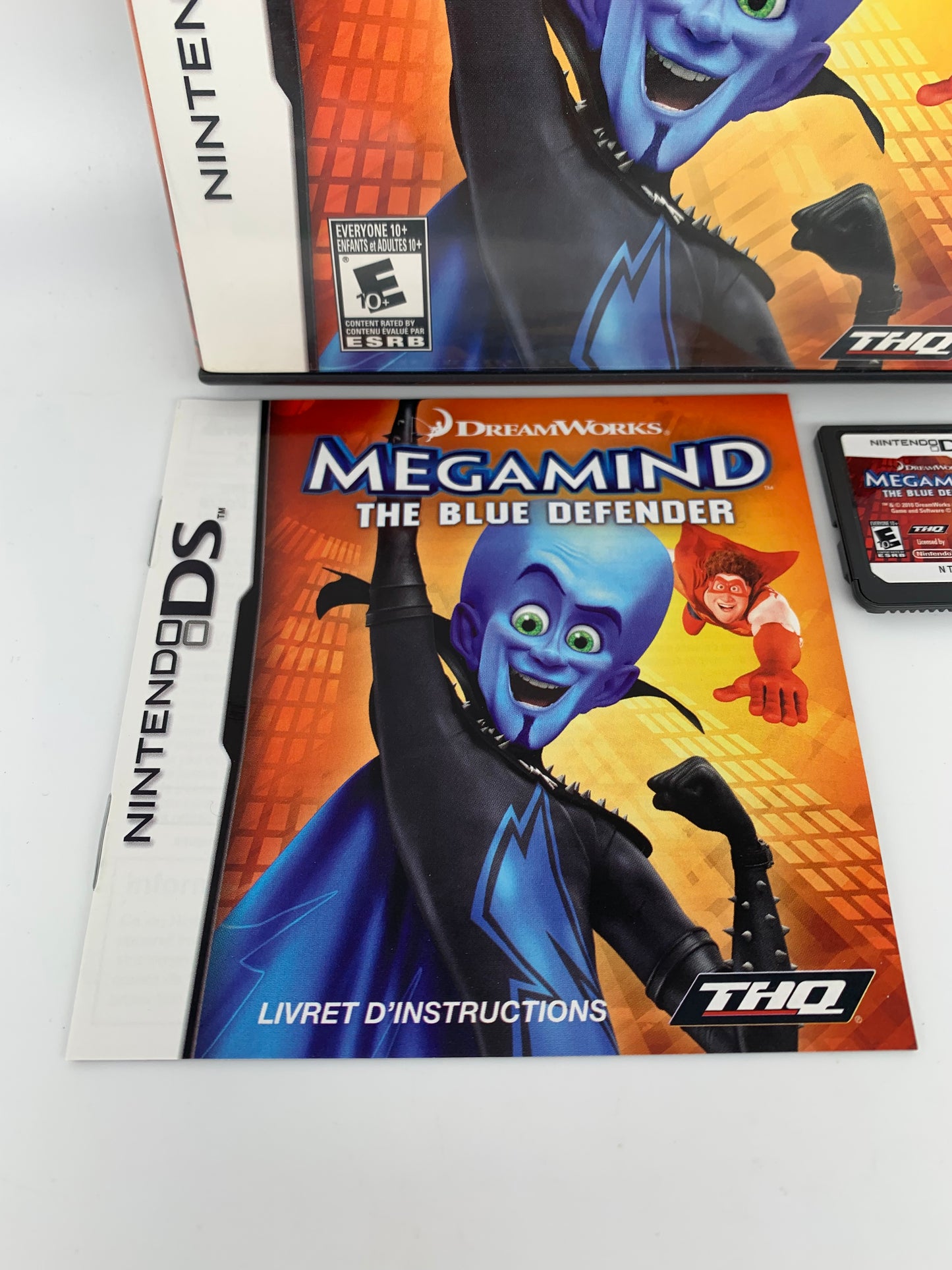 NiNTENDO DS | MEGAMiND THE BLUE DEFENDER