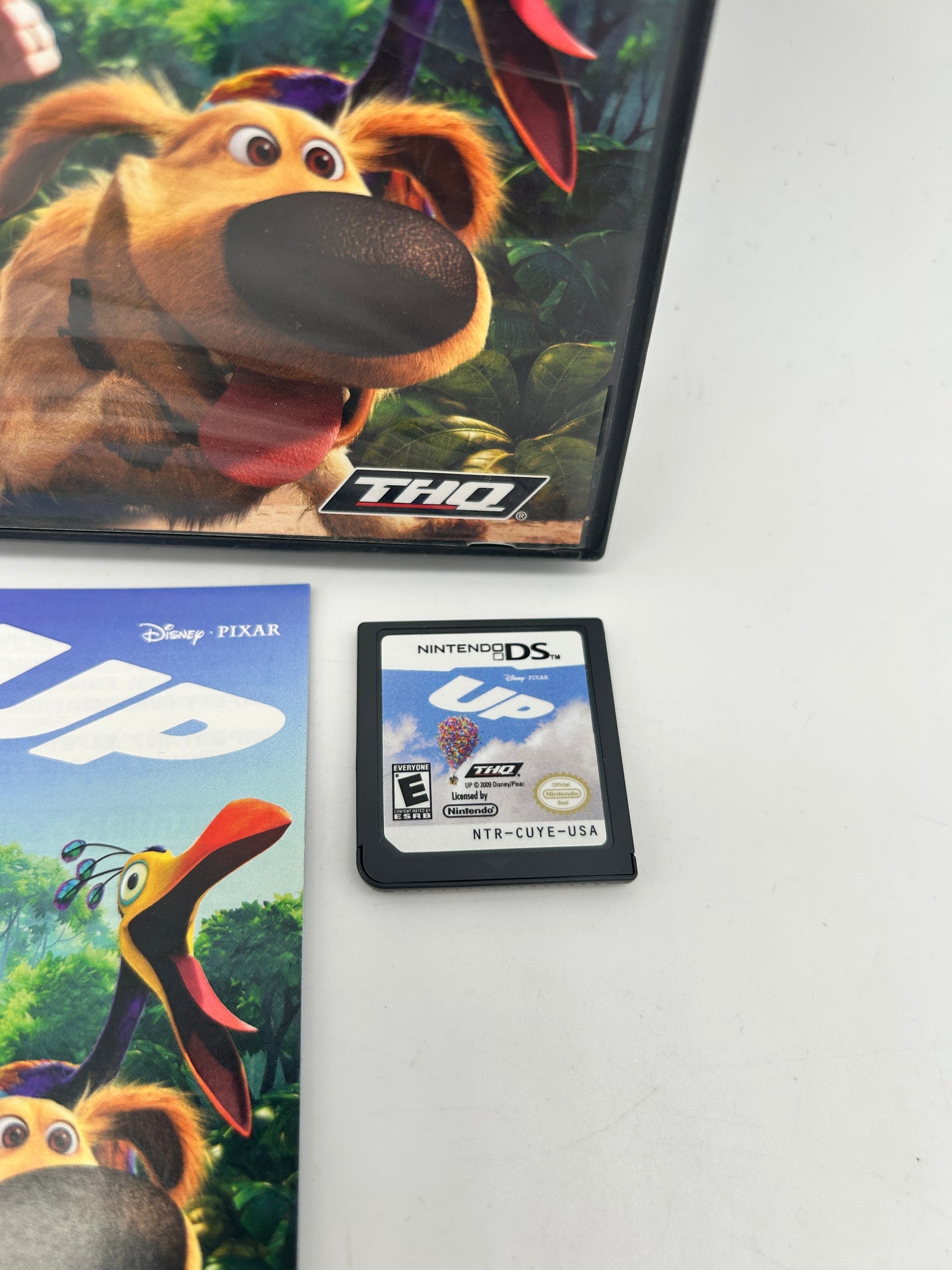 NiNTENDO DS | DiSNEY PiXAR UP