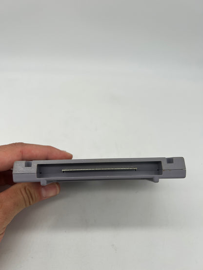 SUPER NiNTENDO [SNES] | LUFiA & THE FORTRESS OF DOOM