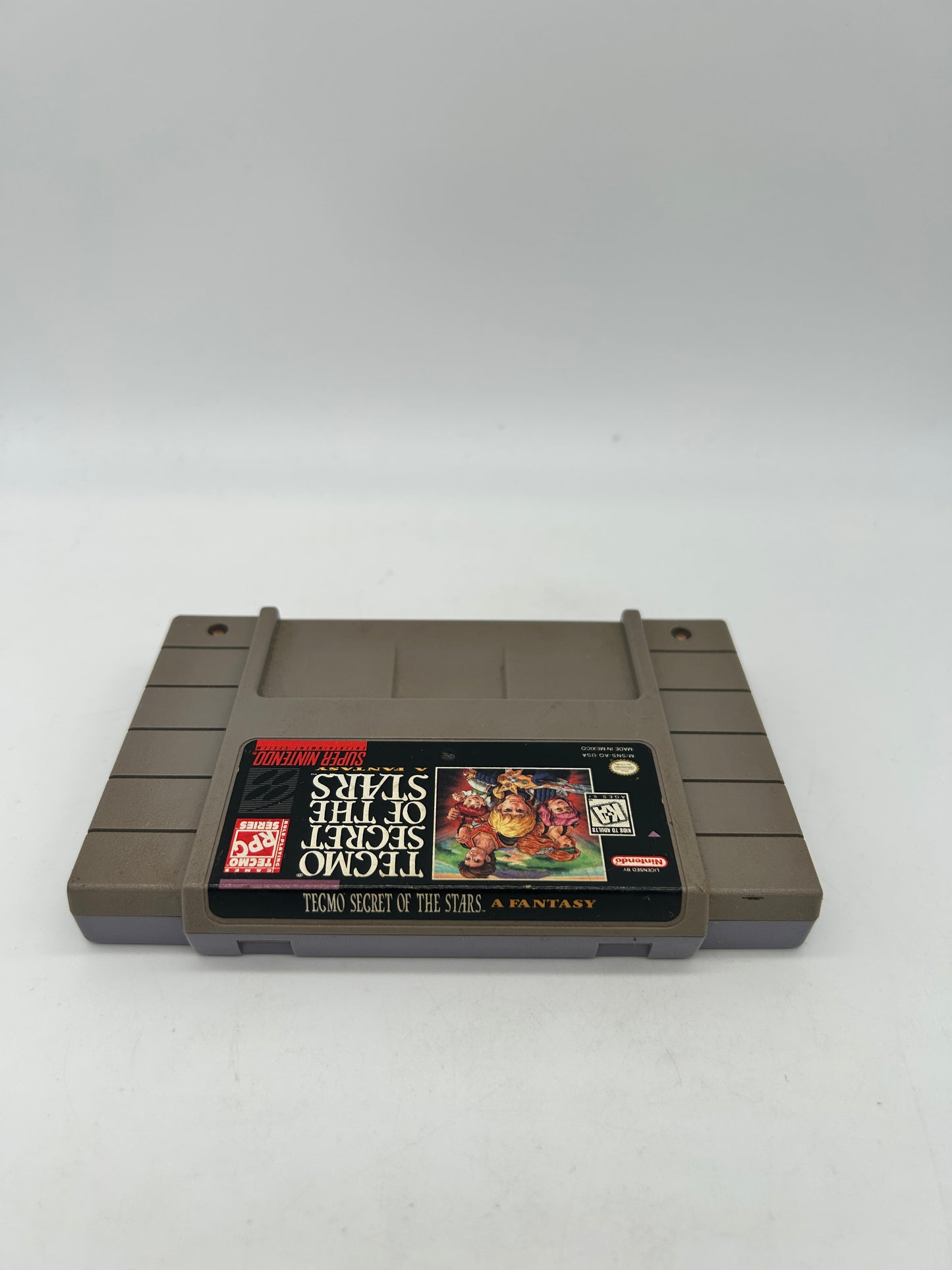 SUPER NiNTENDO [SNES] | TECMO SECRET OF THE STARS A FANTASY