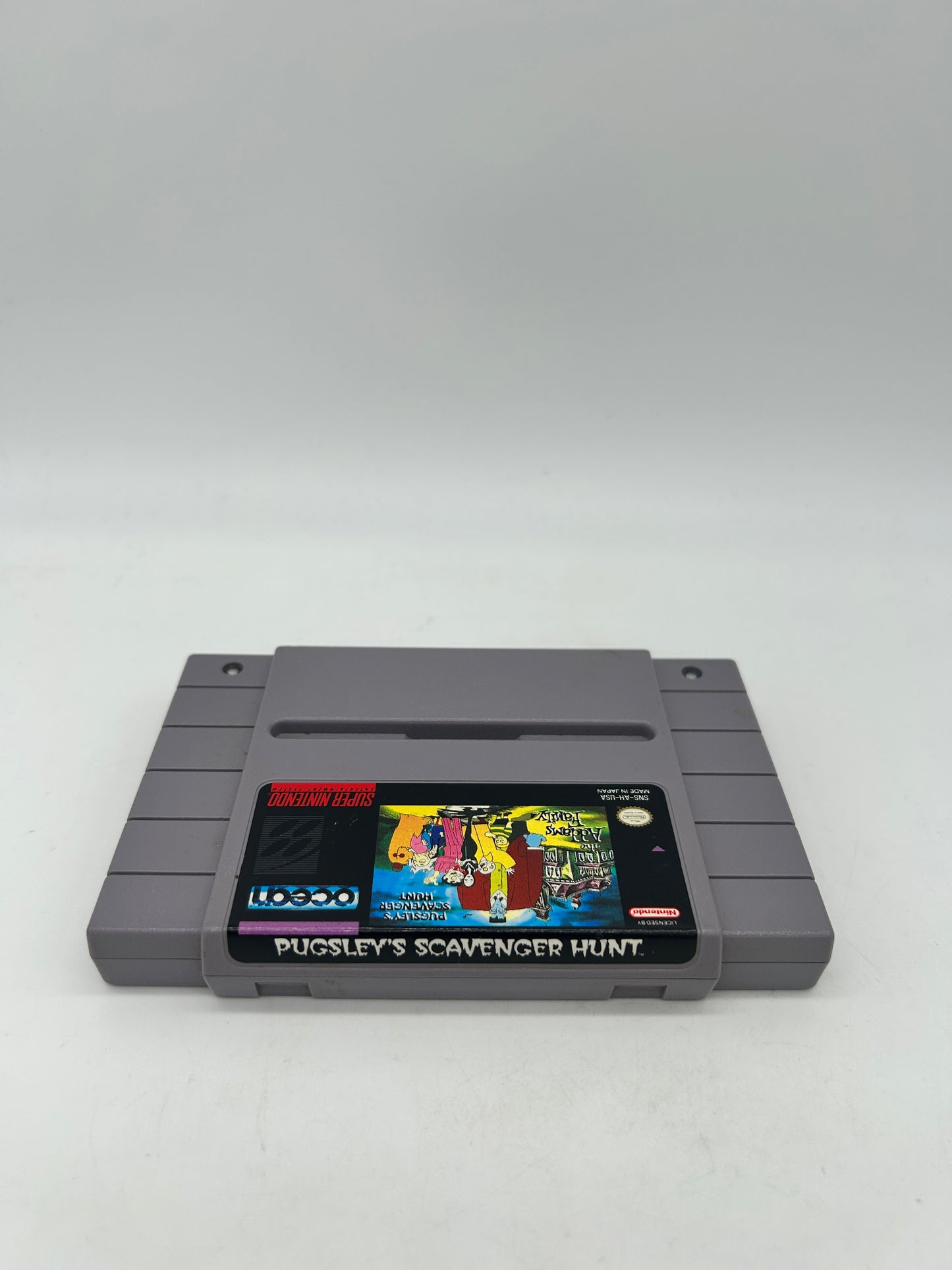 SUPER NiNTENDO [SNES] | THE ADDAMS FAMILY PUGLEYS SCAVENGER HUNT
