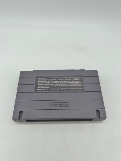 SUPER NiNTENDO [SNES] | THE ADDAMS FAMILY PUGLEYS SCAVENGER HUNT