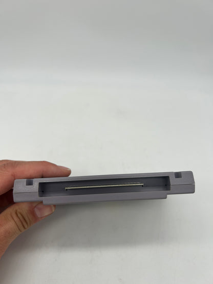 SUPER NiNTENDO [SNES] | THE ADDAMS FAMILY PUGLEYS SCAVENGER HUNT