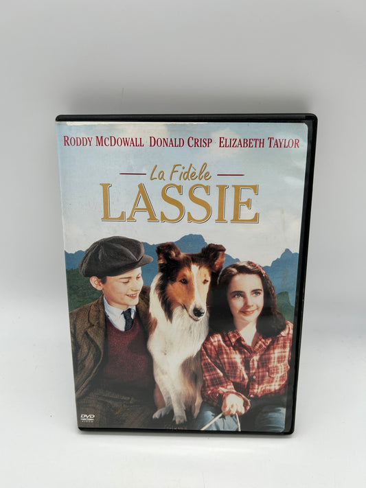 FiLM DVD | LASSiE LA FiDELE