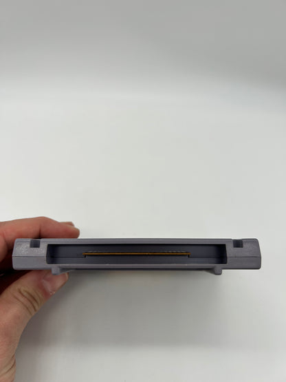 SUPER NiNTENDO [SNES] | DONKEY KONG COUNTRY 2 DiDDYS KONG QUEST