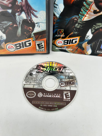 NINTENDO GAMECUBE [NGC] | NFL STREET