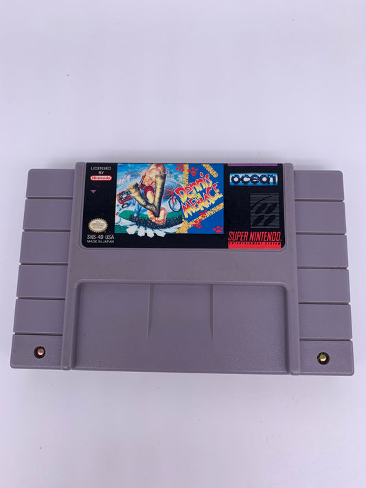 PiXEL-RETRO.COM : SUPER NINTENDO NES (SNES) GAME NTSC DENNIS THE MENACE