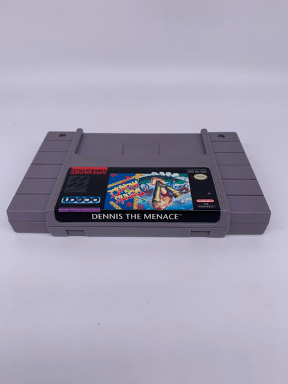 SUPER NiNTENDO [SNES] | DENNiS THE MENACE