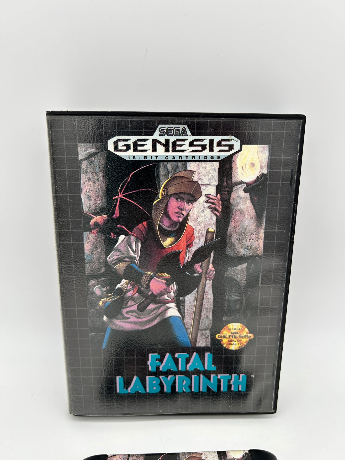 SEGA GENESiS | FATAL LABYRiNTH