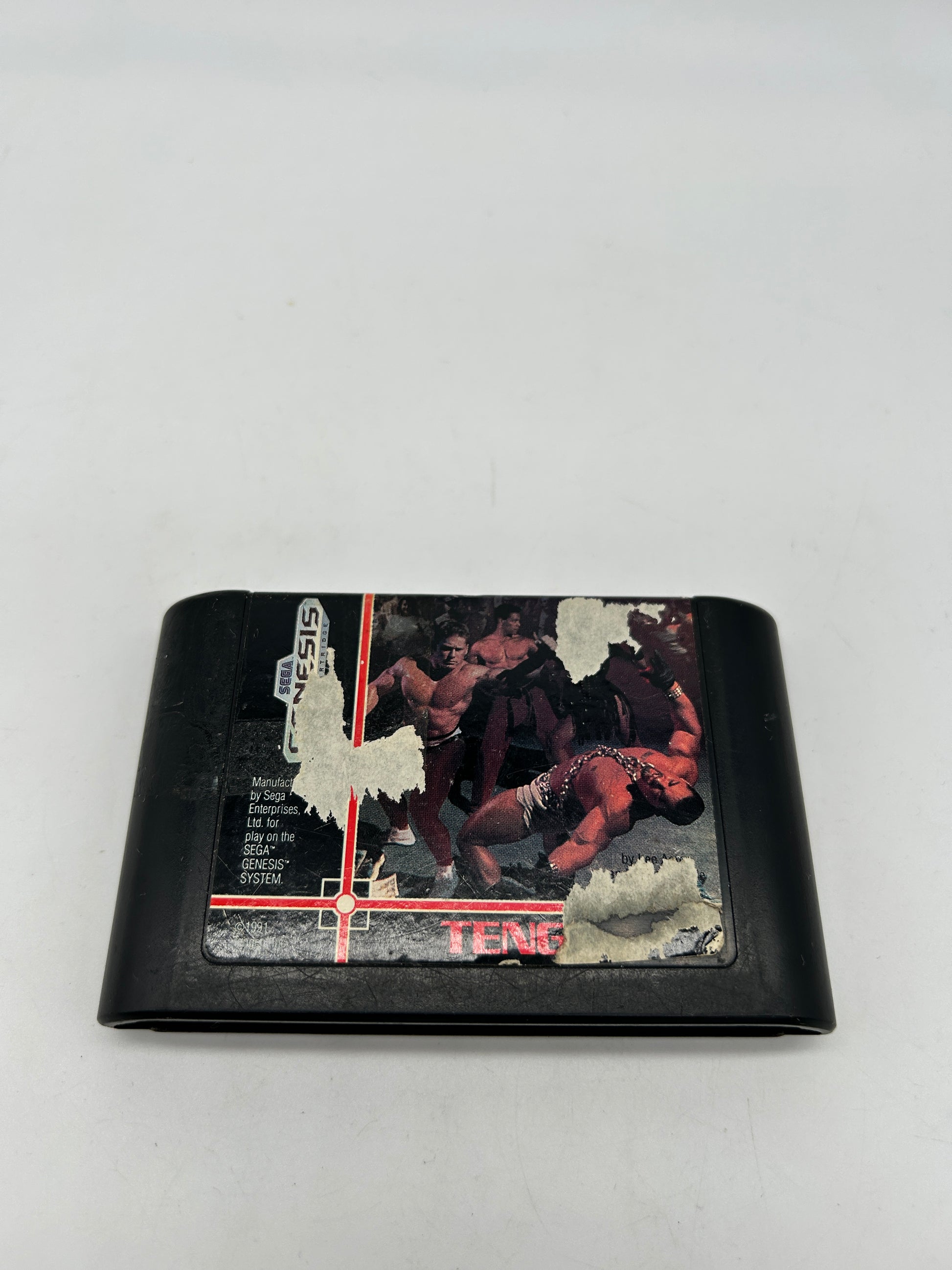 PiXEL-RETRO.COM : SEGA GENESIS (MEGA DRIVE) GAME NTSC PIT FIGHTER