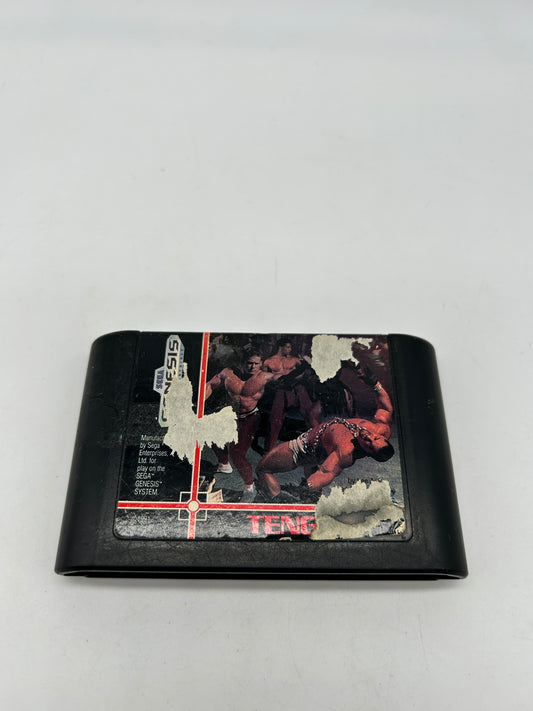 PiXEL-RETRO.COM : SEGA GENESIS (MEGA DRIVE) GAME NTSC PIT FIGHTER