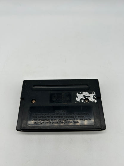 SEGA GENESiS | PiT FiGHTER