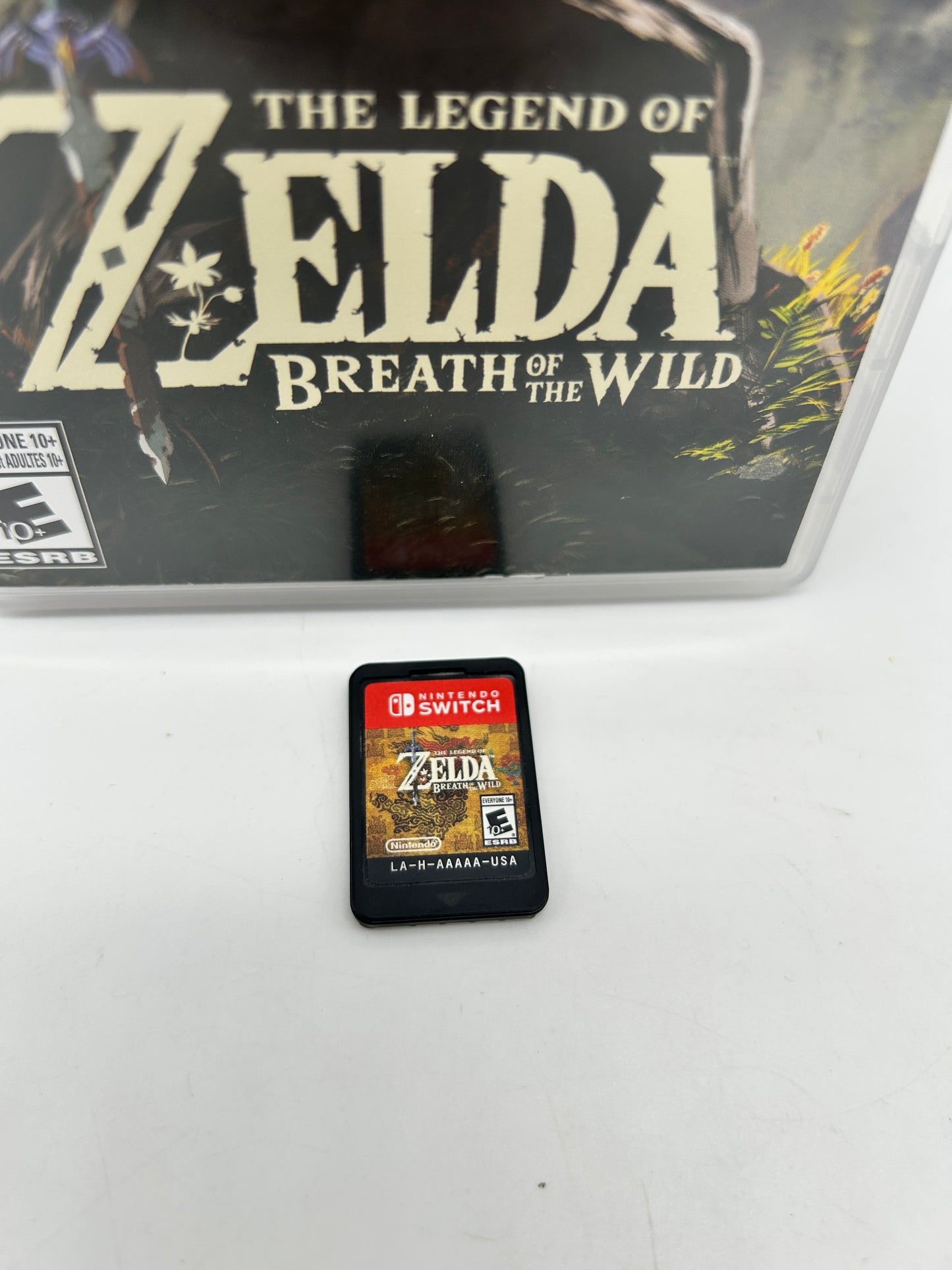 NiNTENDO SWiTCH | THE LEGEND OF ZELDA BREATH OF THE WILD