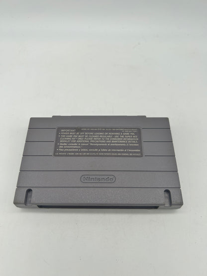 SUPER NiNTENDO [SNES] | DONKEY KONG COUNTRY 2 DiDDYS KONG QUEST