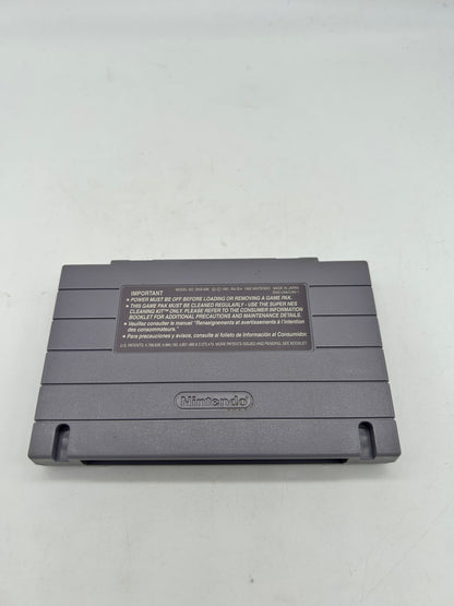 SUPER NiNTENDO [SNES] | DONKEY KONG COUNTRY