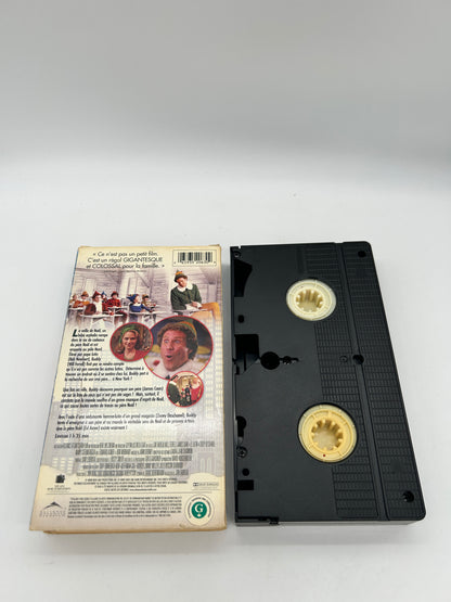 FiLM VHS FRANCAiS | LE LUTiN [ELF]