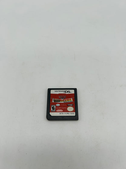 PiXEL-RETRO.COM : NINTENDO DS GAME CARS MATER-NATIONAL CHAMPIONSHIP