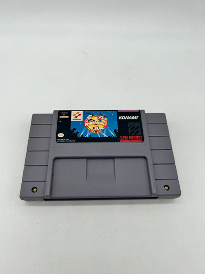 PiXEL-RETRO.COM : SUPER NINTENDO NES (SNES) GAME NTSC ANIMANIACS