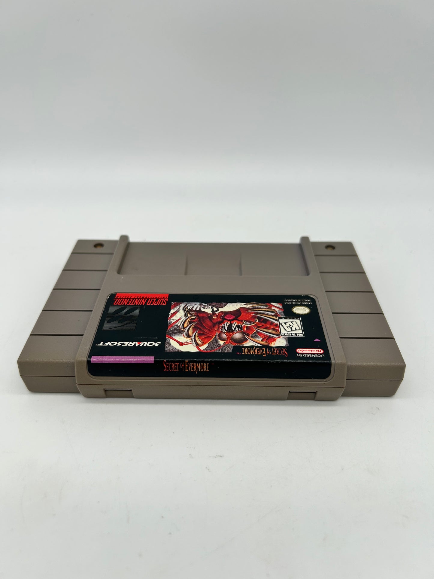 SUPER NiNTENDO [SNES] | SECRET OF EVERMORE