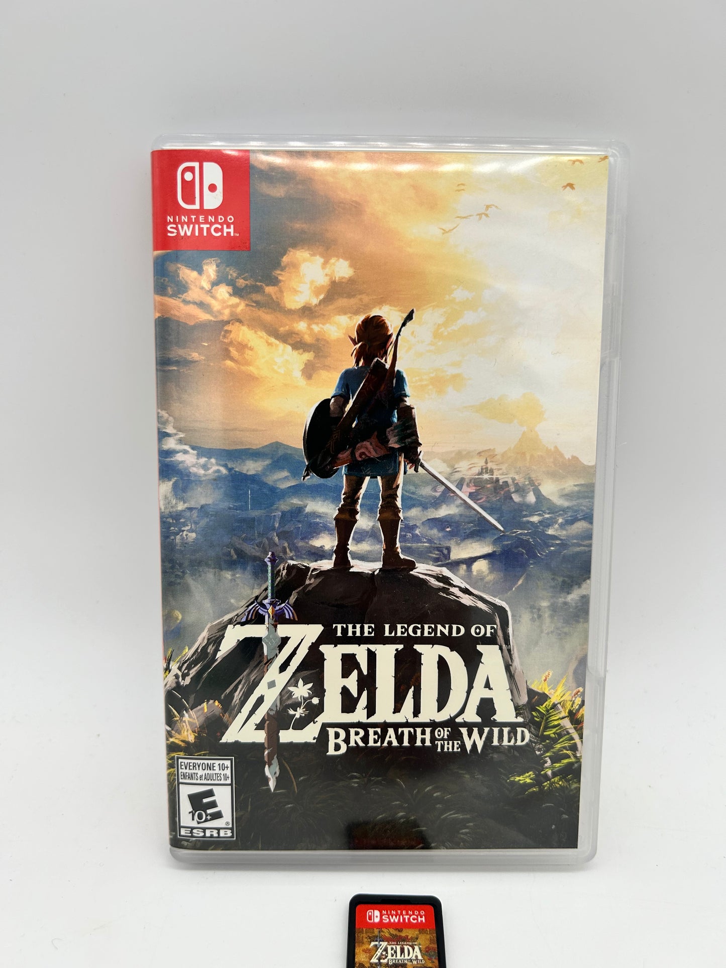 NiNTENDO SWiTCH | THE LEGEND OF ZELDA BREATH OF THE WiLD