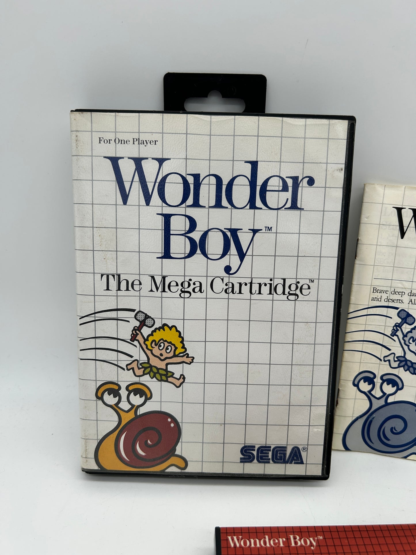 SEGA MASTER [SMS] | WONDER BOY