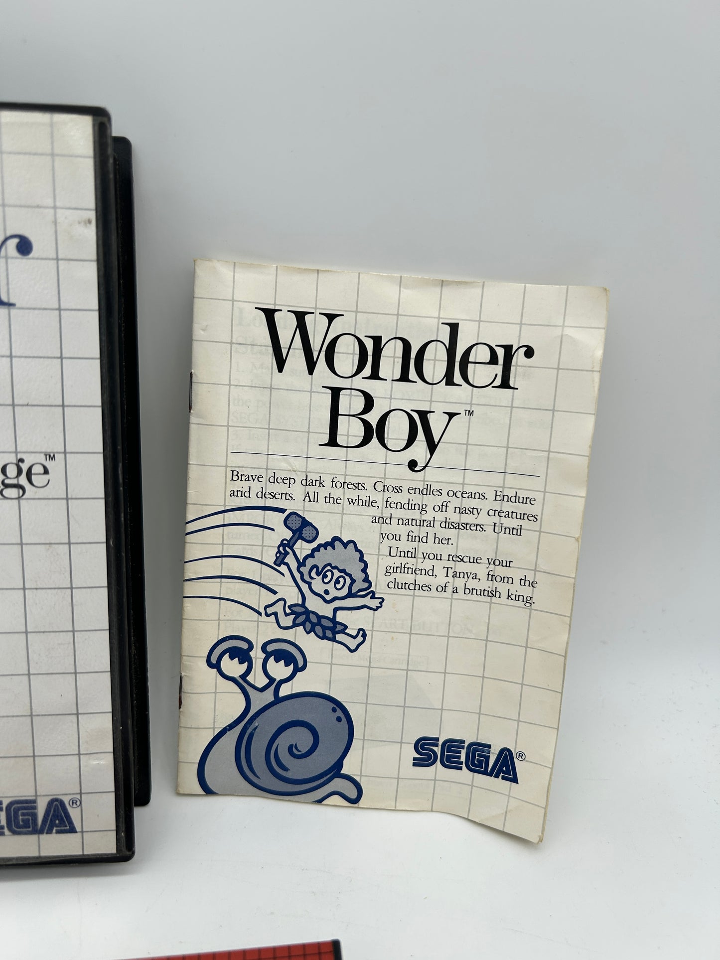 SEGA MASTER [SMS] | WONDER BOY