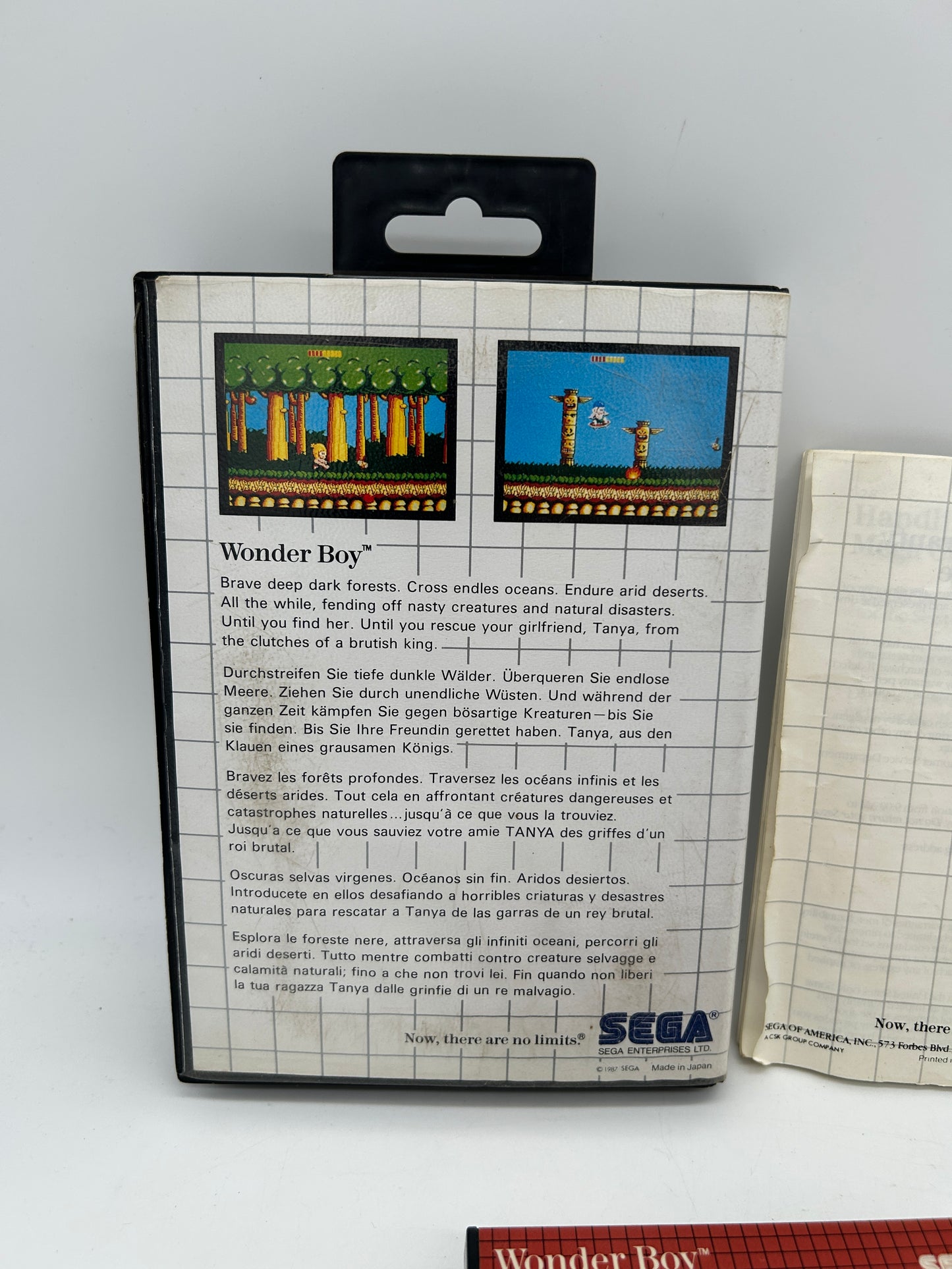 SEGA MASTER [SMS] | WONDER BOY