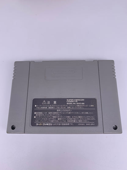 SUPER FAMiCOM [SFC] | SUPER DONKEY KONG 3 | SHVC-A3CJ-JPN