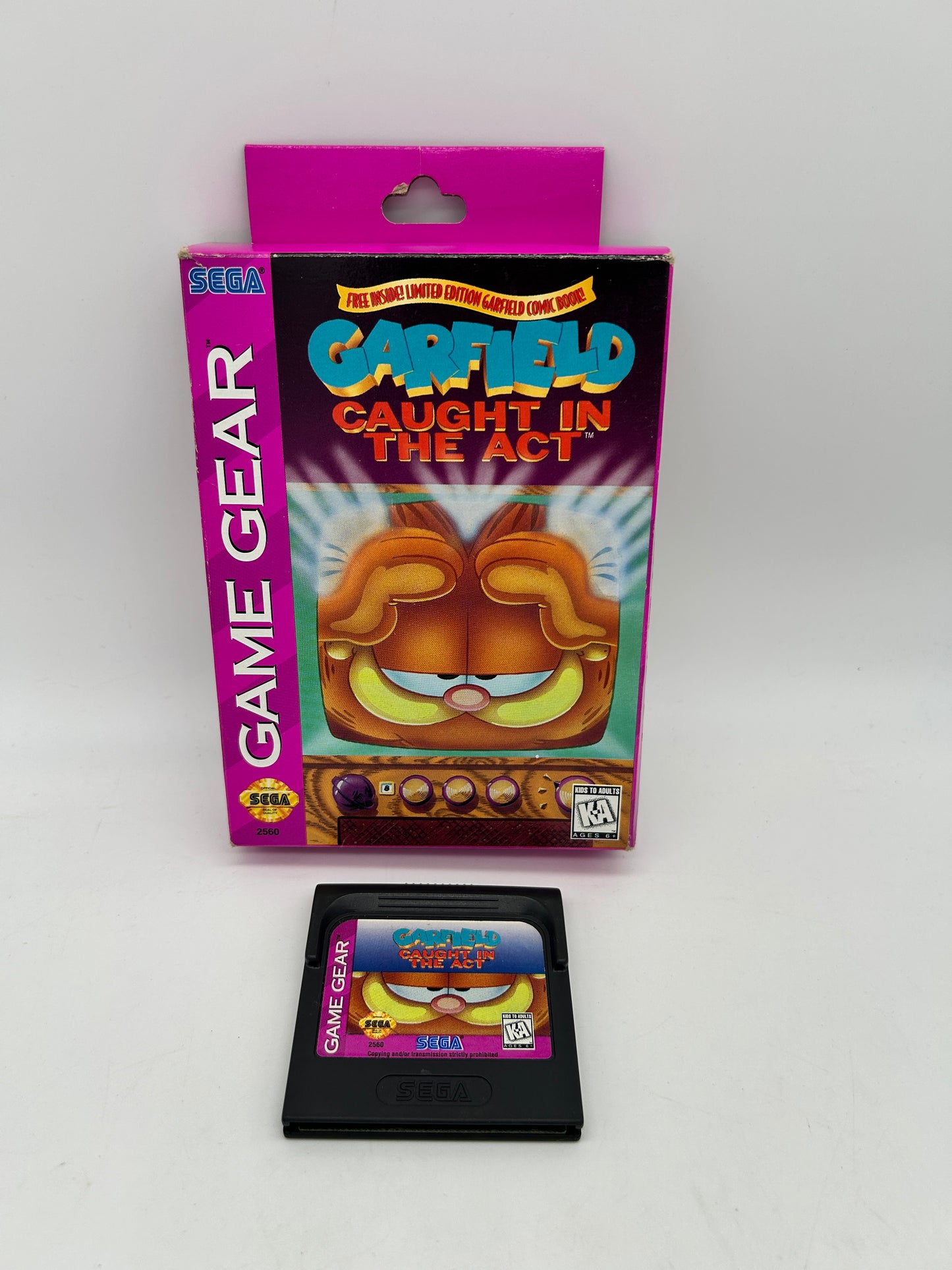 PiXEL-RETRO.COM : SEGA GAME GEAR GAME BOX INSTRUCTION MANUAL COMPLET CIB NTSC GARFIELD CAUGHT IN THE ACT