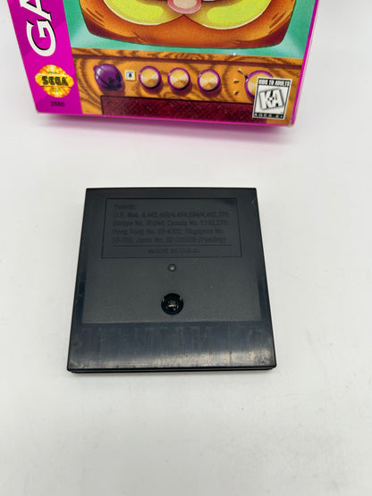 SEGA GAME GEAR | GARFIELD CAUGHT in THE ACT