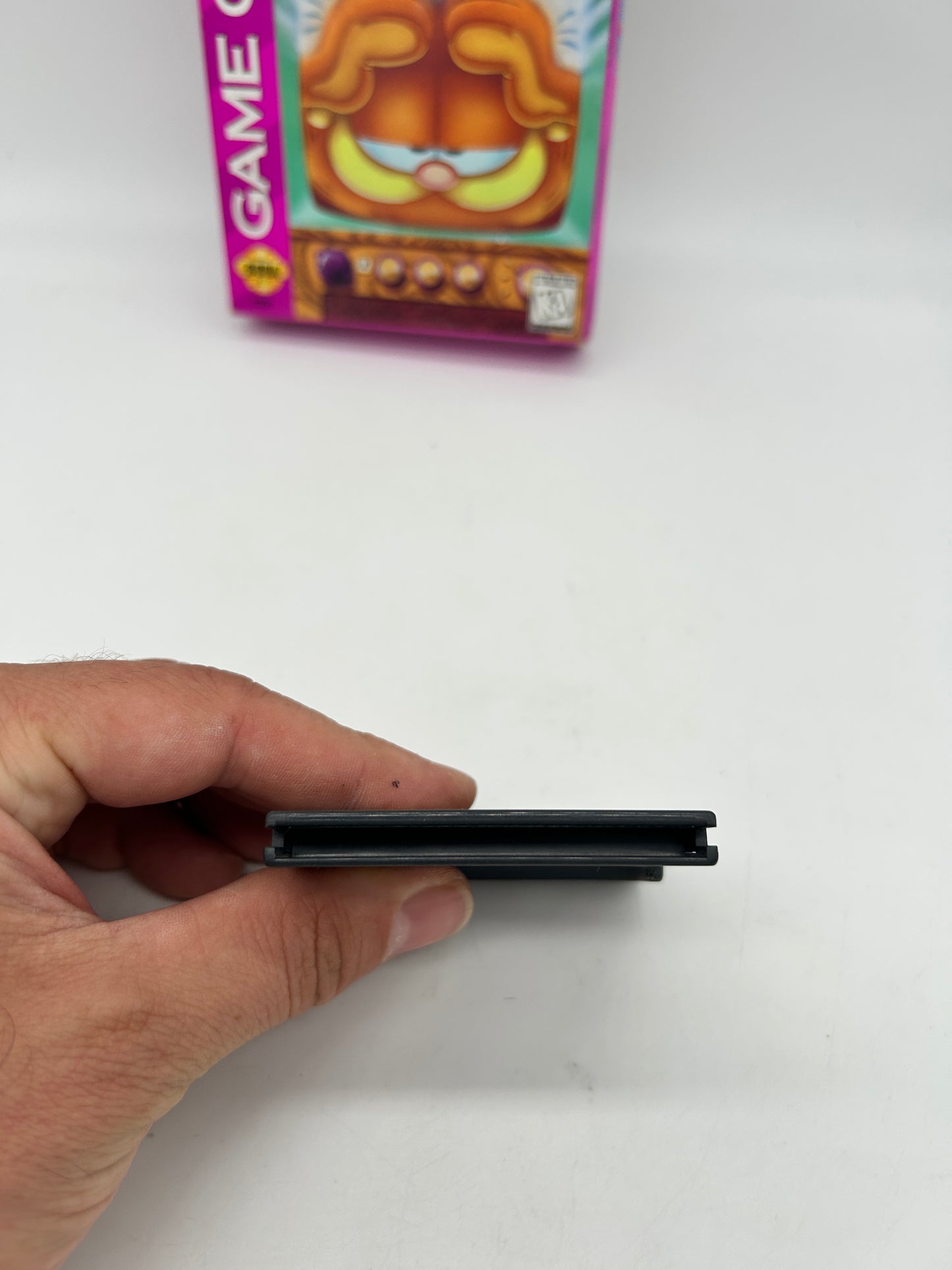 SEGA GAME GEAR | GARFIELD CAUGHT in THE ACT