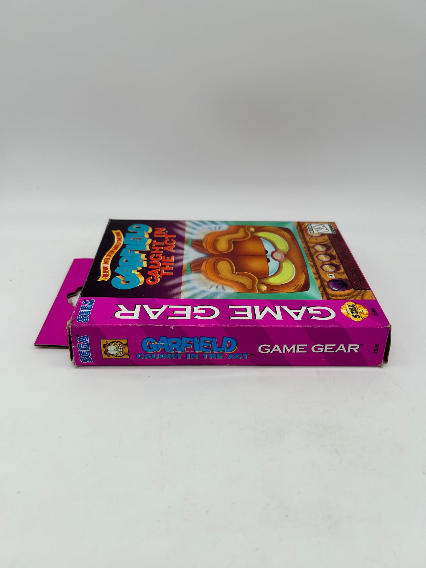 SEGA GAME GEAR | GARFIELD CAUGHT in THE ACT