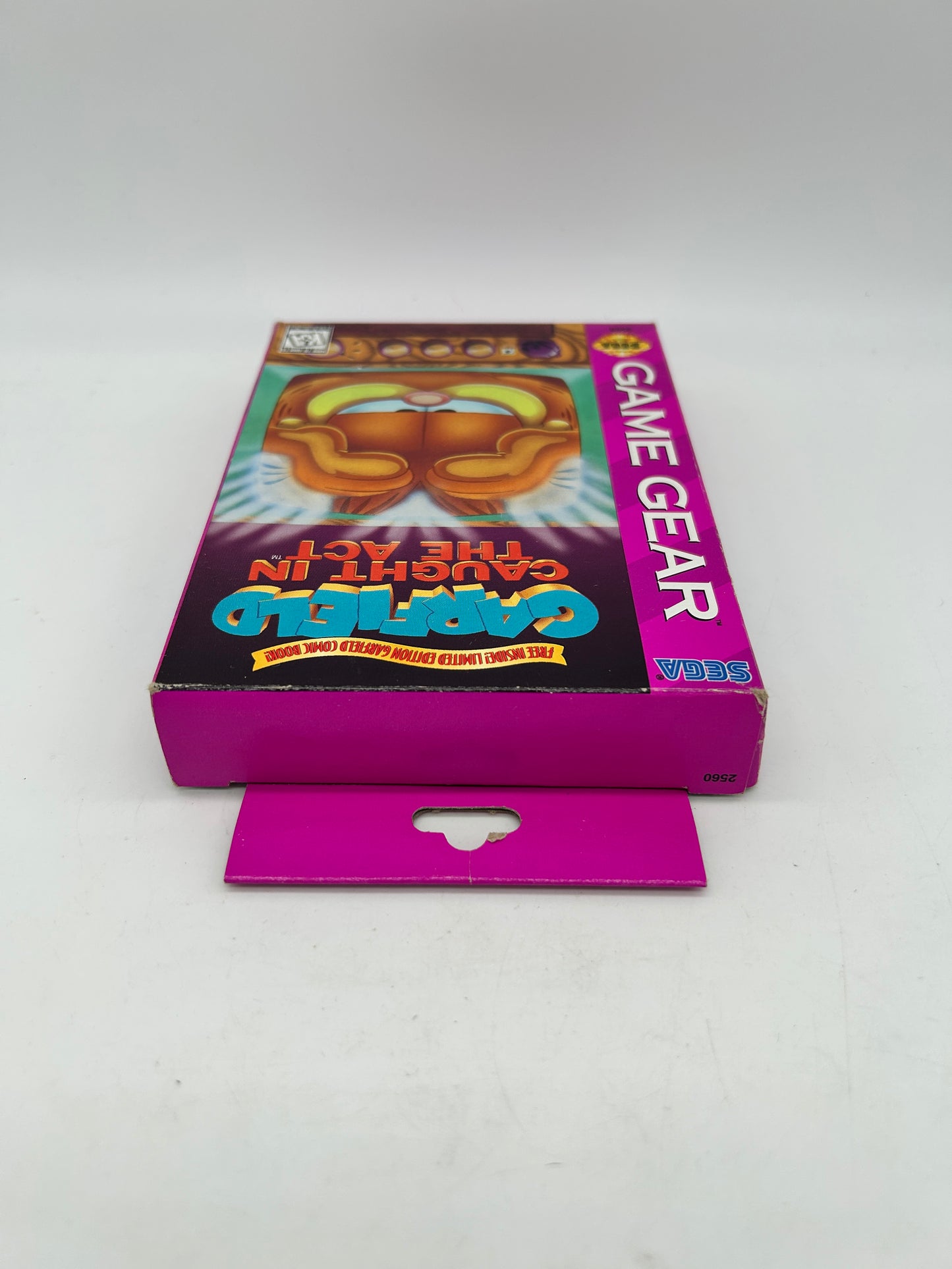 SEGA GAME GEAR | GARFIELD CAUGHT in THE ACT