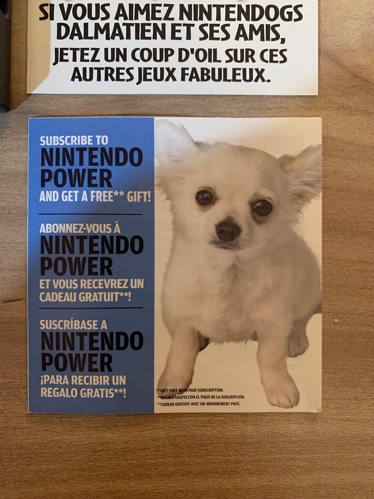 NiNTENDO DS | NiNTENDOGS CHiHUAHUA & FRiENDS