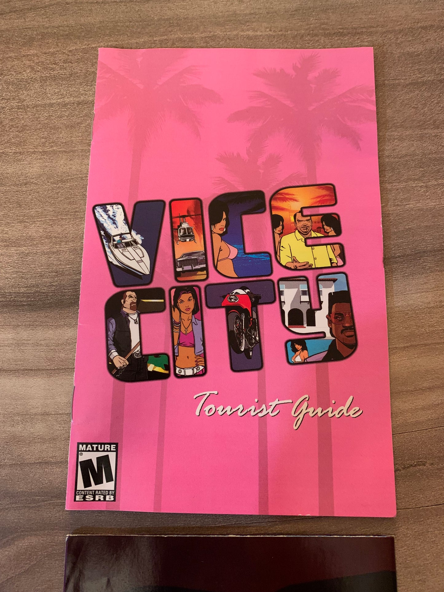 SONY PLAYSTATiON 2 [PS2] | GRAND THEFT AUTO ViCE CiTY