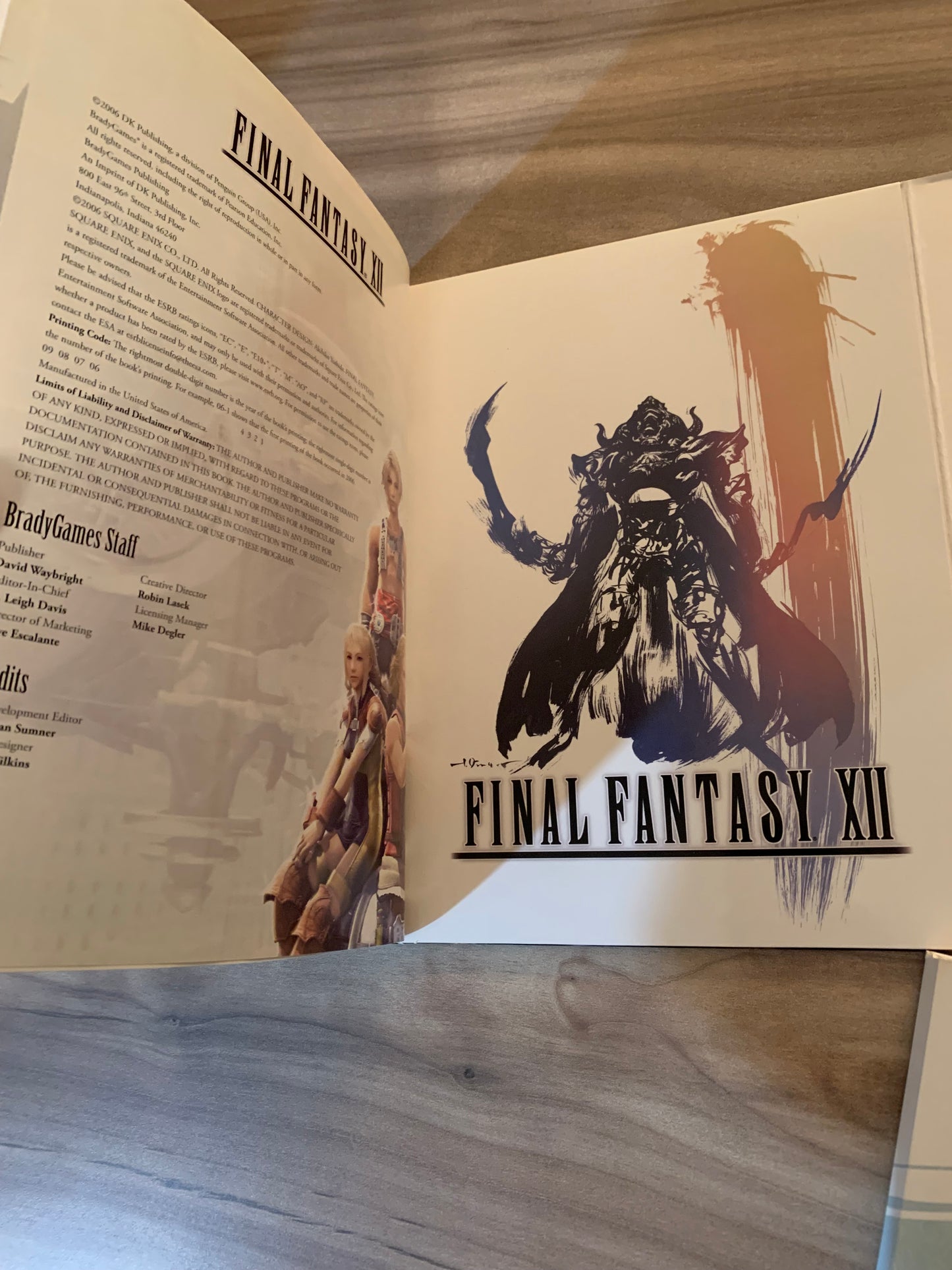 FiNAL FANTASY XII STRATEGY GUiDE BRADYGAMES HARDCOVER LiMiTED COLLECTORS EDiTiON